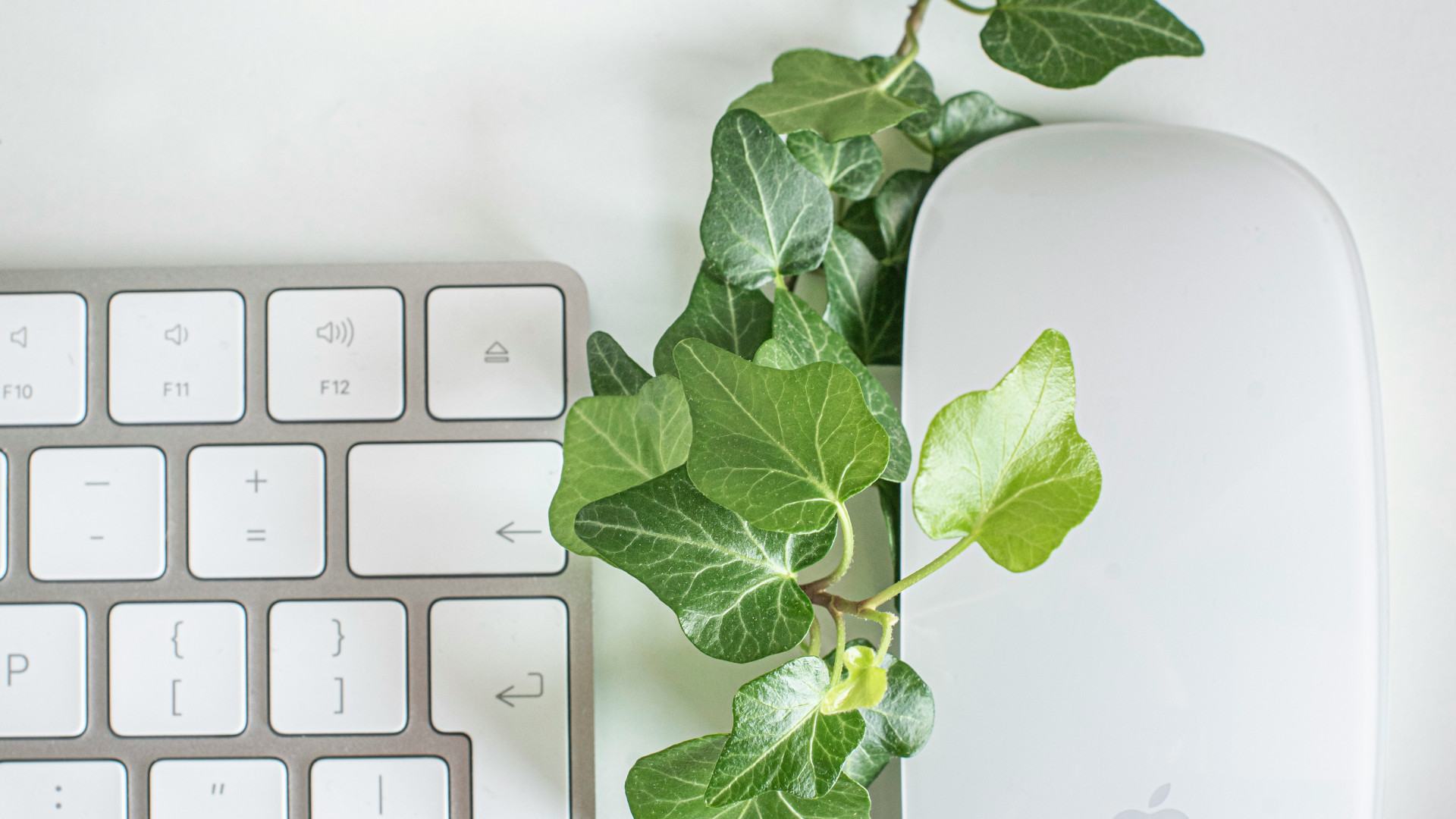 Dans quels cas opter pour une formation Green IT ?