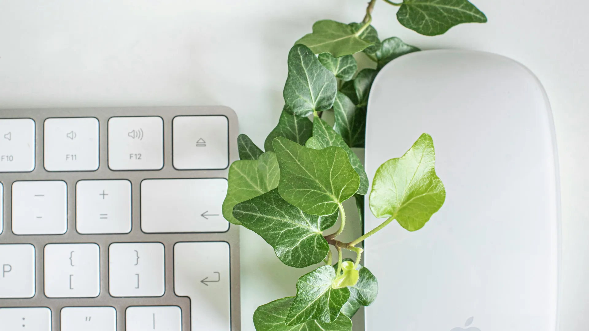 Dans quels cas opter pour une formation Green IT ?
