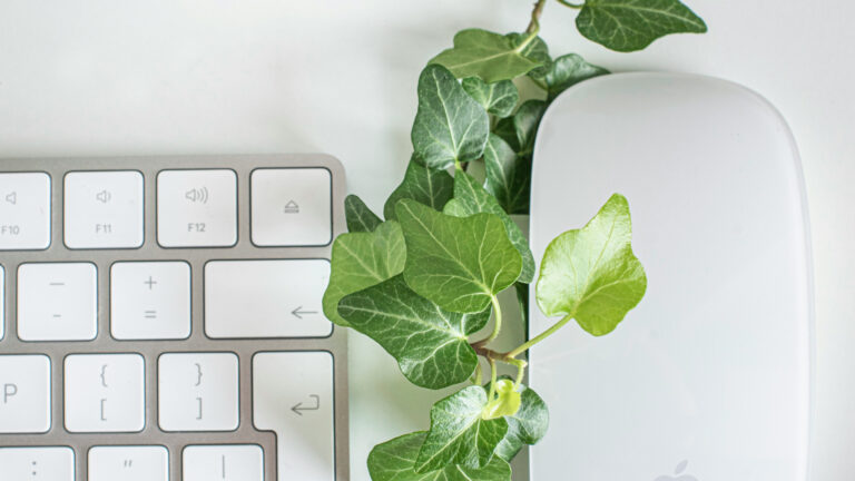 Dans quels cas opter pour une formation Green IT ?