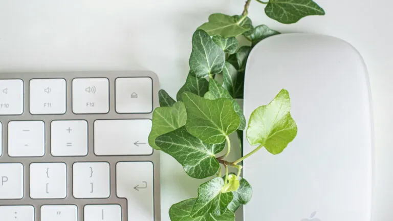 Dans quels cas opter pour une formation Green IT ?