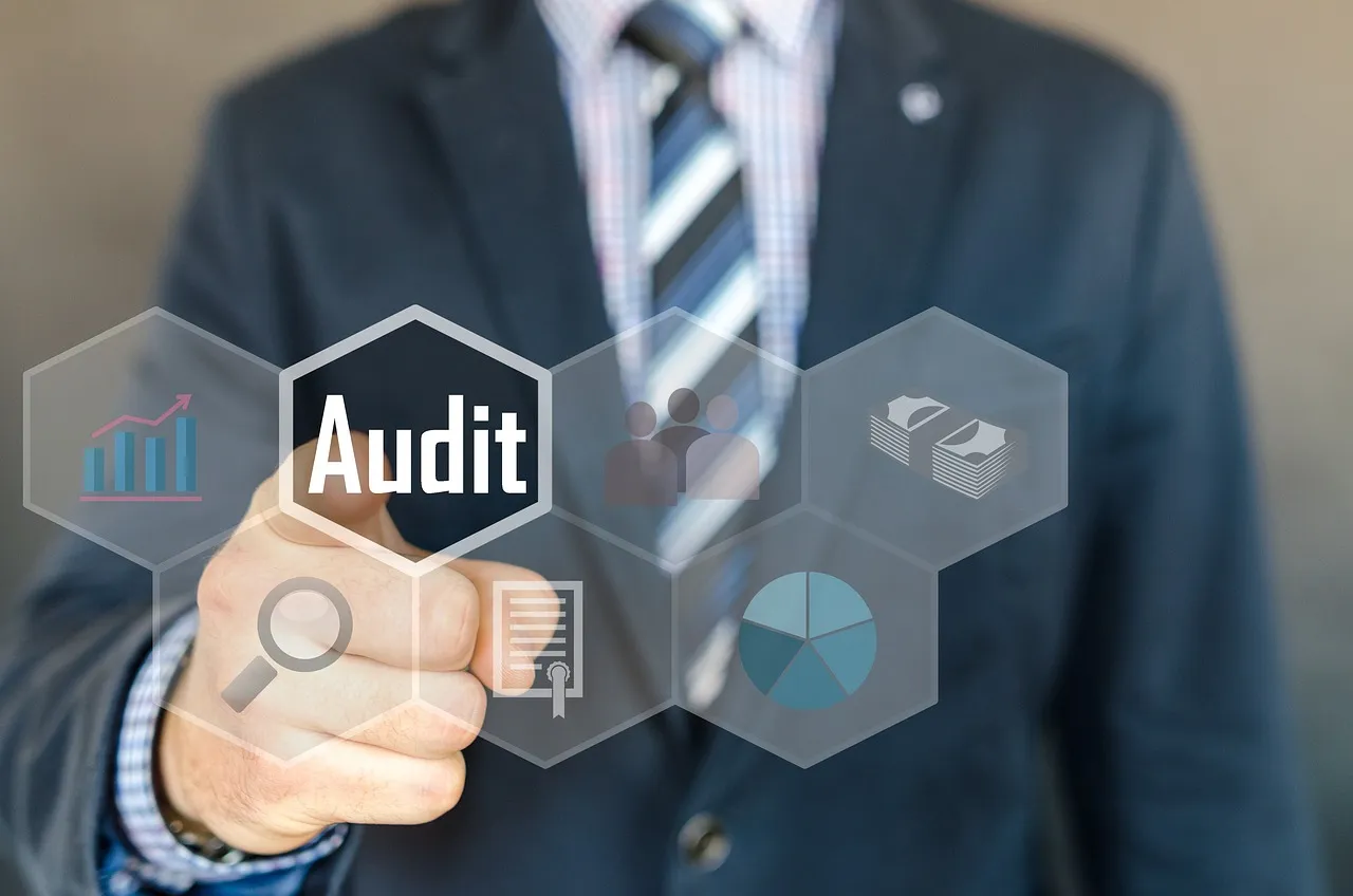 expertise comptable en ligne