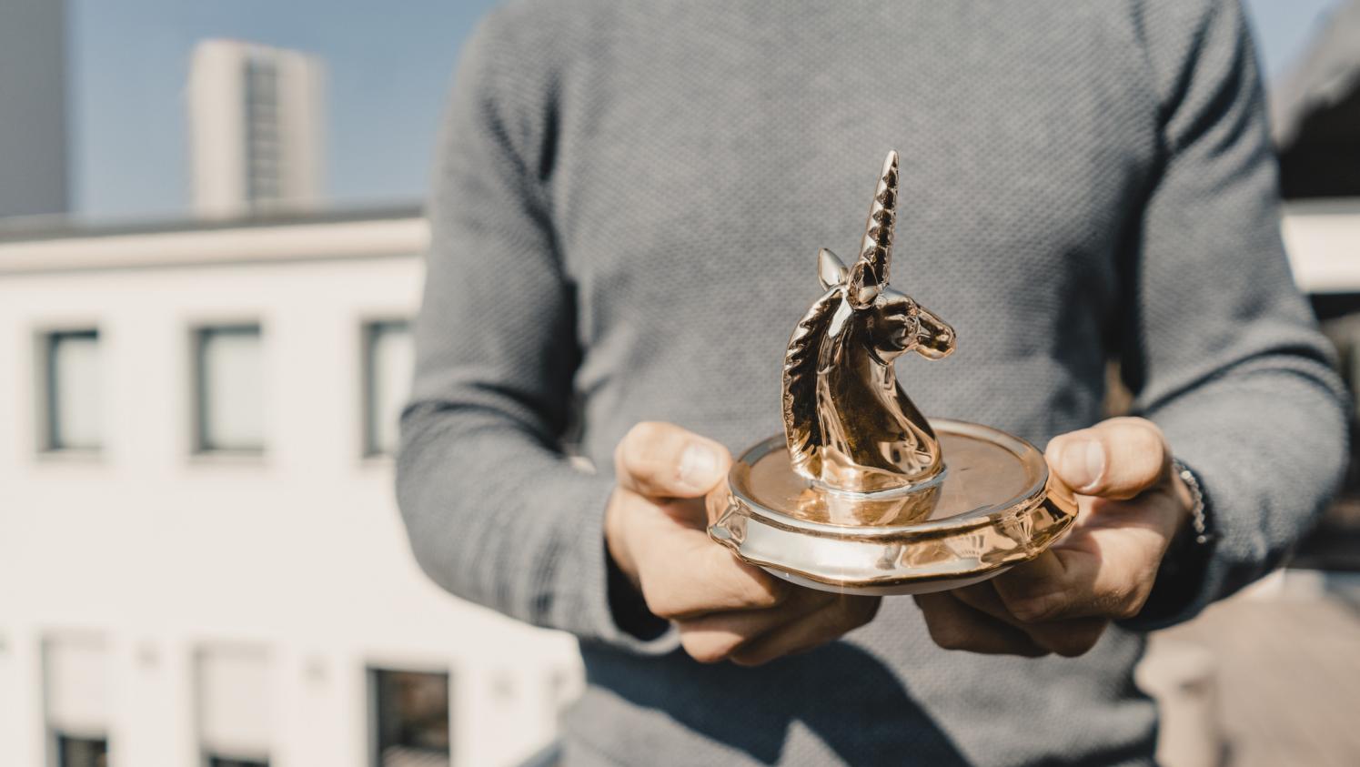 licornes Françaises