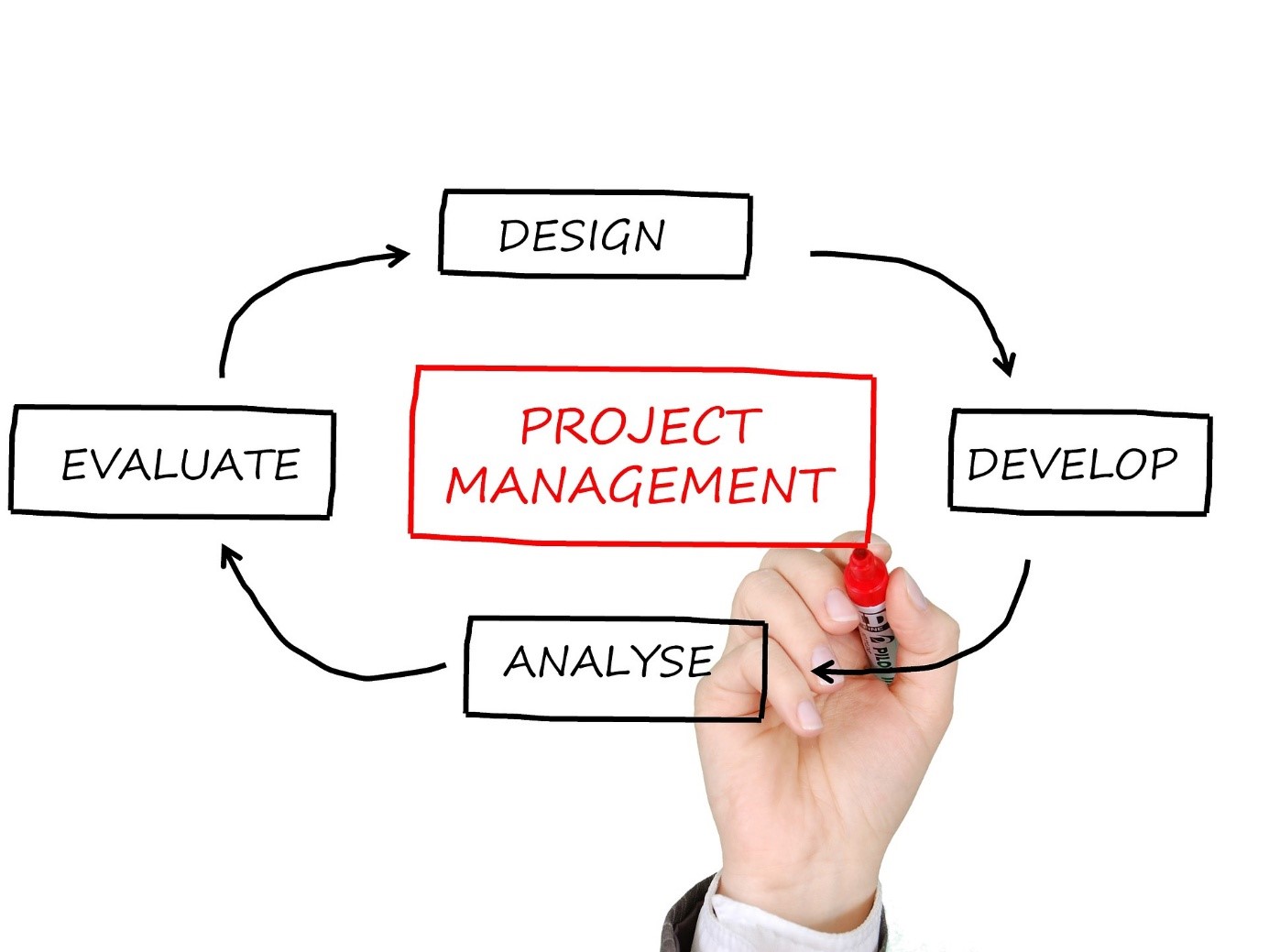 Project Management : L’importance de connaître la gestion de projet pour son business